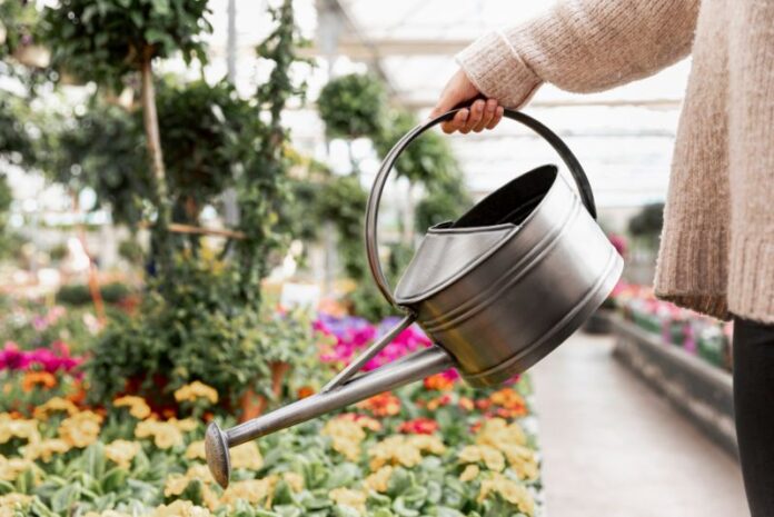 Mujer regando flores.